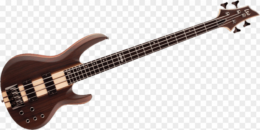 Bass Guitar LTD String Instruments Musical PNG