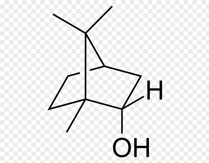 Camphor Borneol Bicyclic Molecule Structure PNG