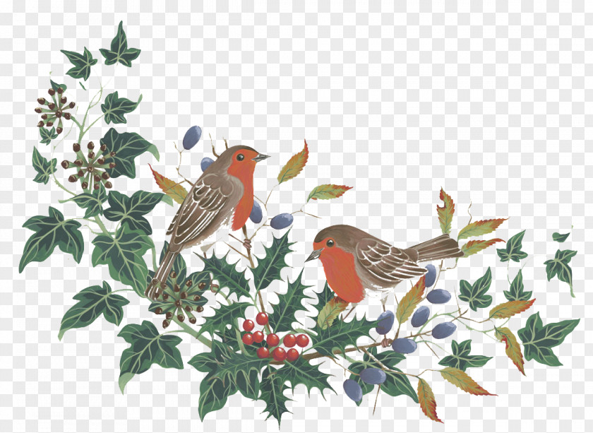 Hand-painted Flowers And Birds Winter Pattern PNG