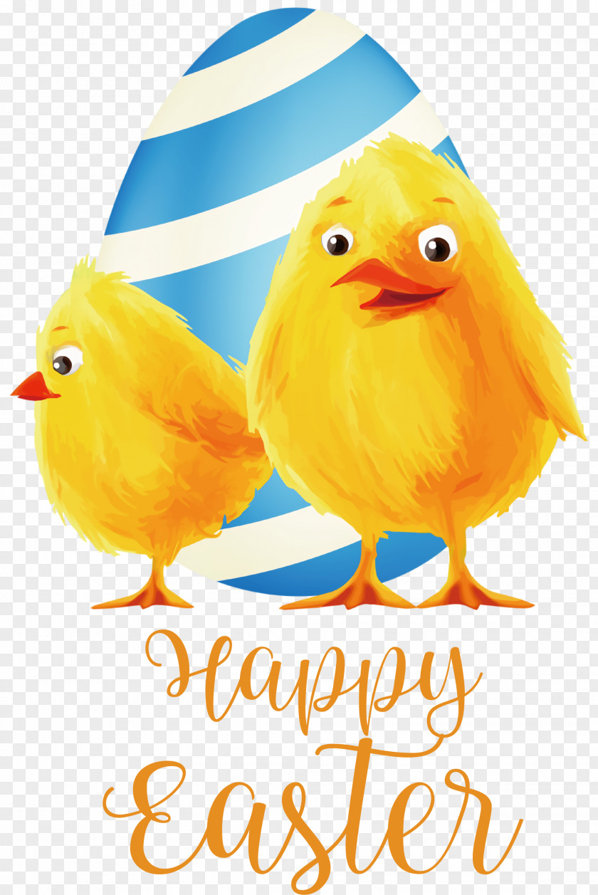 Happy Easter Chicken And Ducklings PNG