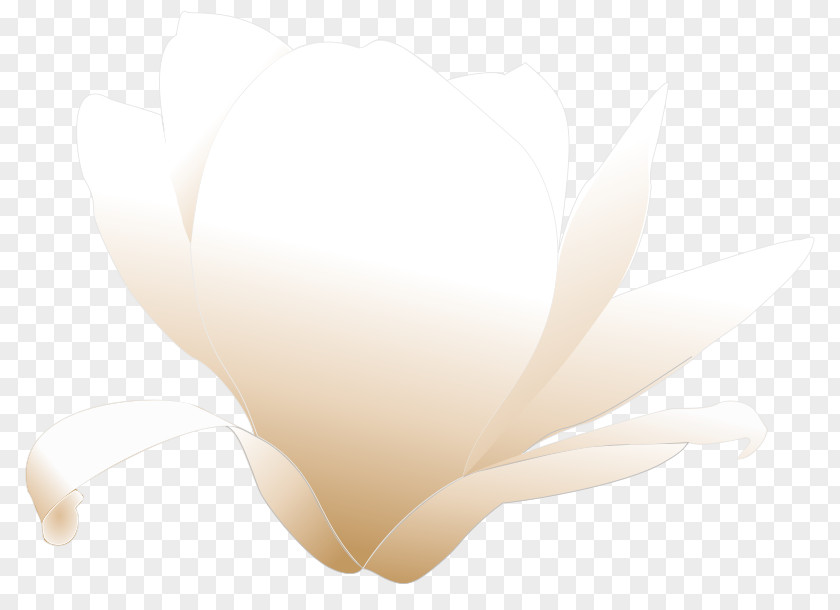 Magnolia Royalty-free Clip Art PNG