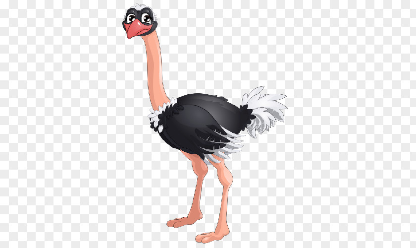 Ostrich Common Drawing Royalty-free Clip Art PNG