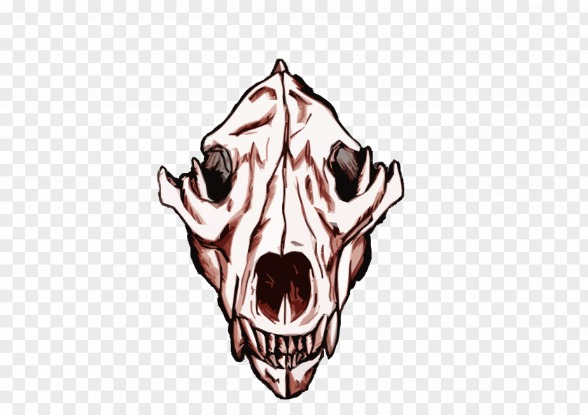 Skull Snout Jaw Mouth PNG