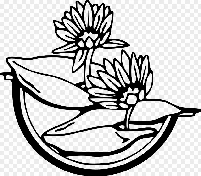 Water Lilies White Water-Lily Clip Art PNG