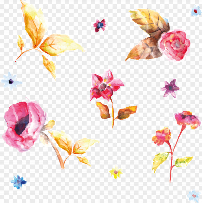 Watercolor Flower Vector Graphics Painting Design Image Texture PNG