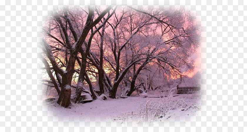 Winter Snow Landscape Tree Mobile Phones PNG