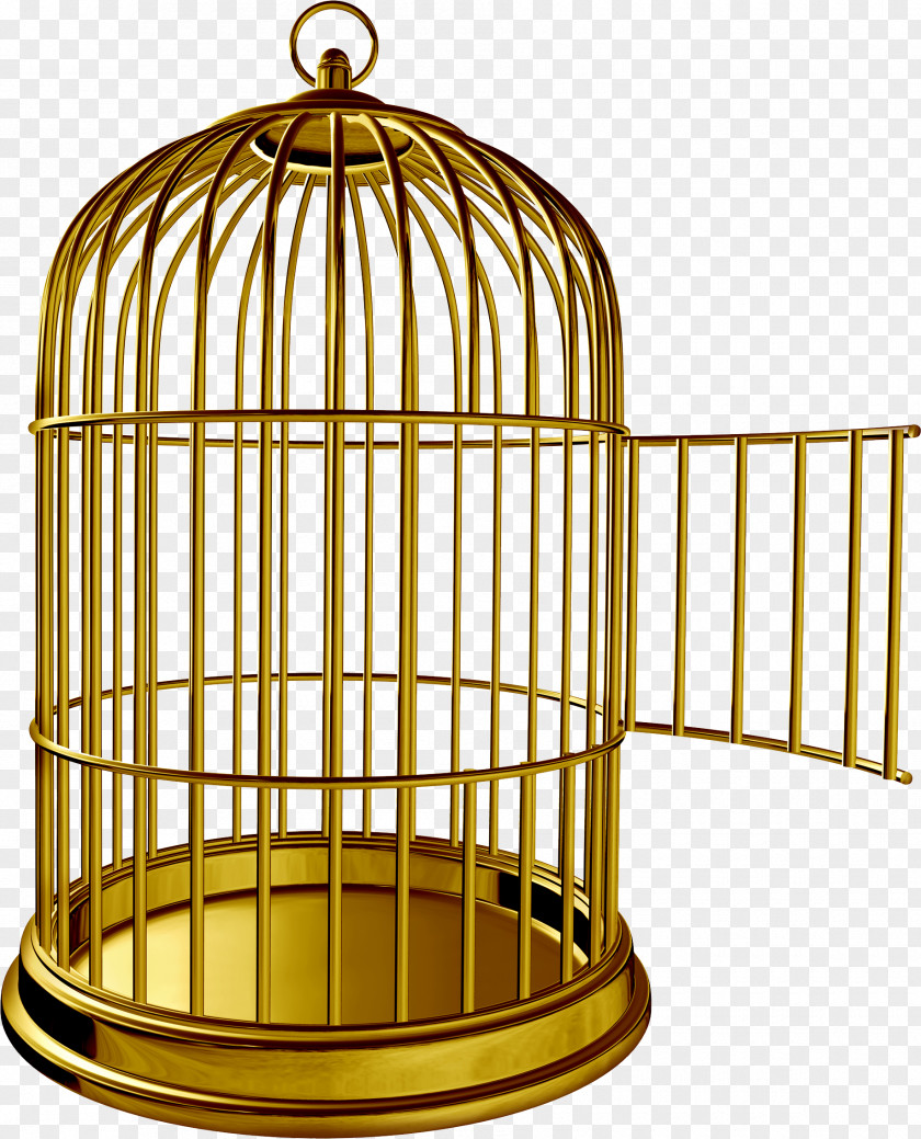 Bird Cage Birdcage Parrot Clip Art PNG