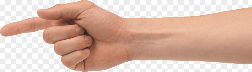 Bittern Chicken Claws Index Finger Hand PNG