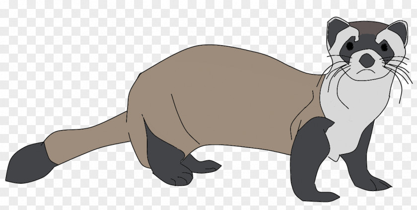 Ferret Whiskers Cat Dog Raccoon PNG