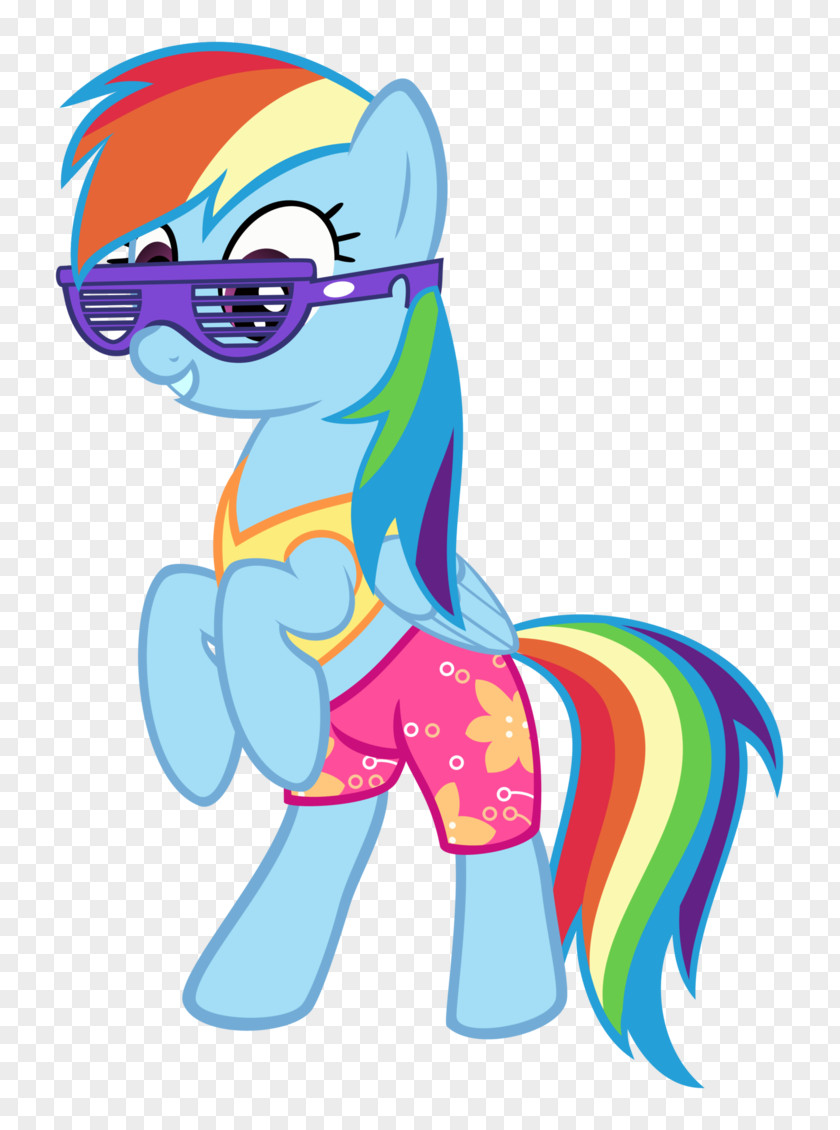 Horse Pony Rainbow Dash Art PNG