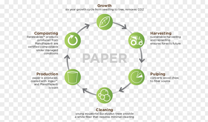Life Cycle Of Paper Life-cycle Assessment Polylactic Acid Product Management PNG