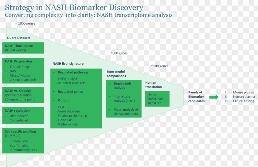 Nash Non-alcoholic Fatty Liver Disease Biomarker Steatohepatitis PNG