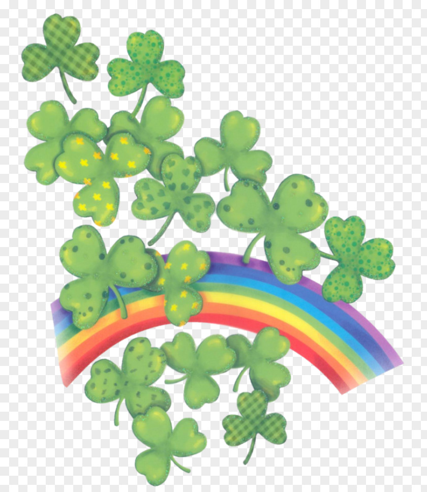 Saint Patrick Shamrock Symbol Patrick's Day HUG PNG