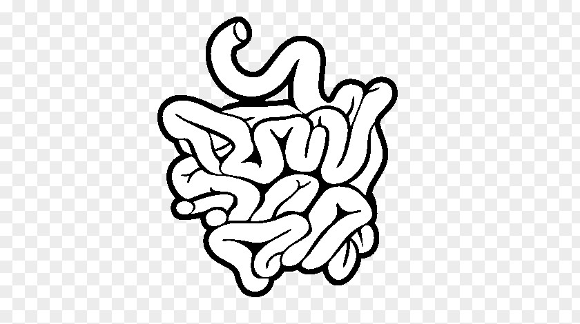 Small Intestine Large Human Anatomy Drawing PNG