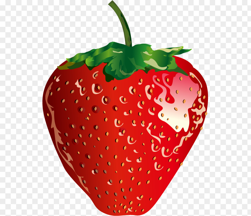 Vector Red Strawberry Fruit Food PNG