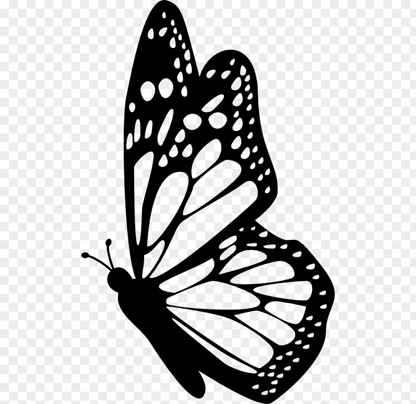 Butterfly Monarch Insect Clip Art PNG