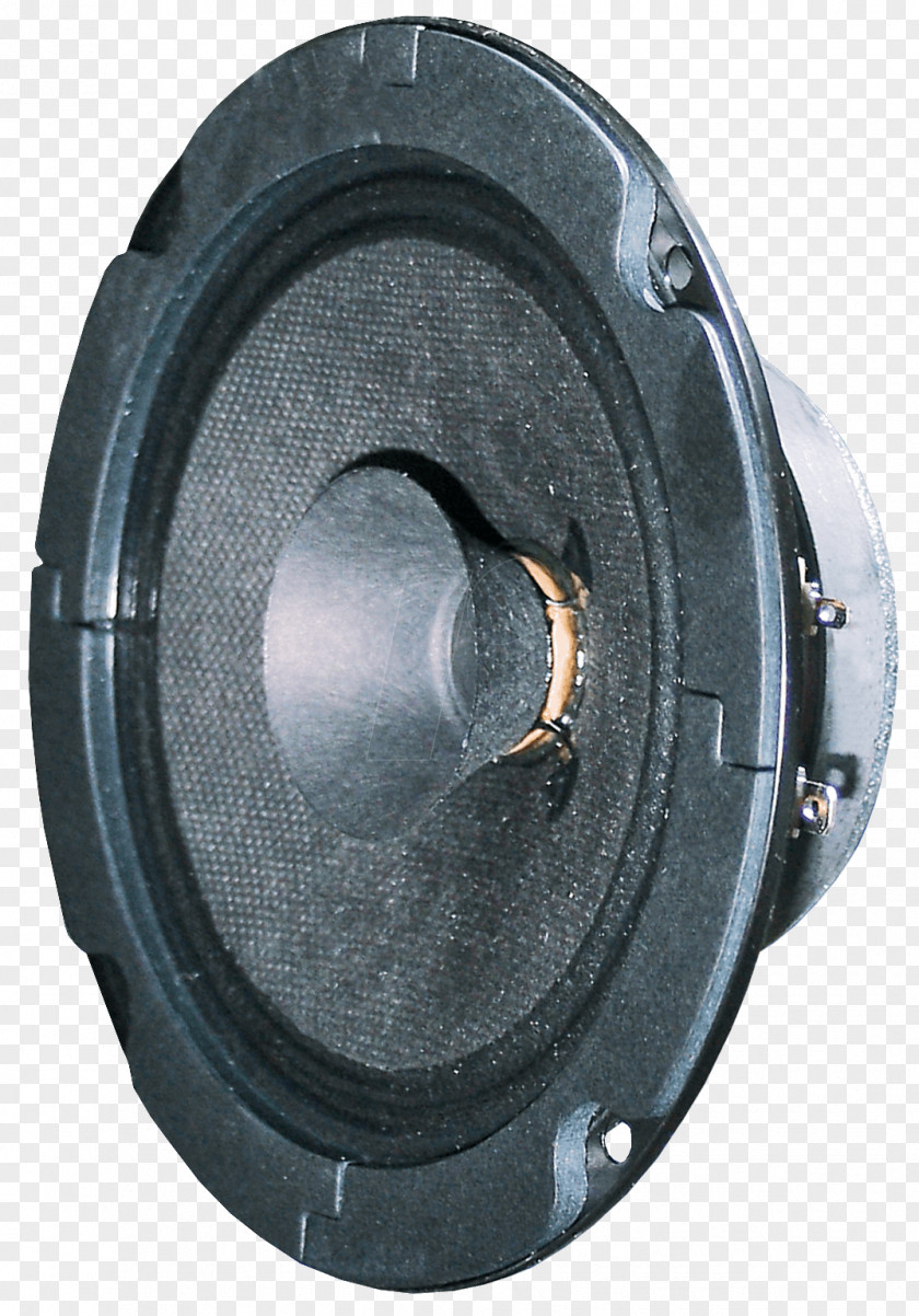Full-range Speaker 3011 Visaton Loudspeaker Computer Speakers Videk Antenna Cable FR 16 WP 4 OHM PNG