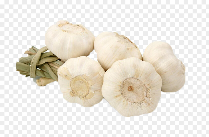Garlic Food Vegetable Aroma Fruit PNG