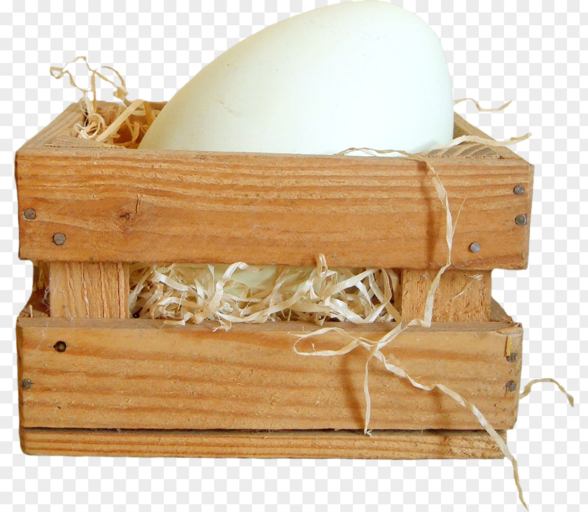 Nest Of Duck Eggs Egg Carton Wood PNG