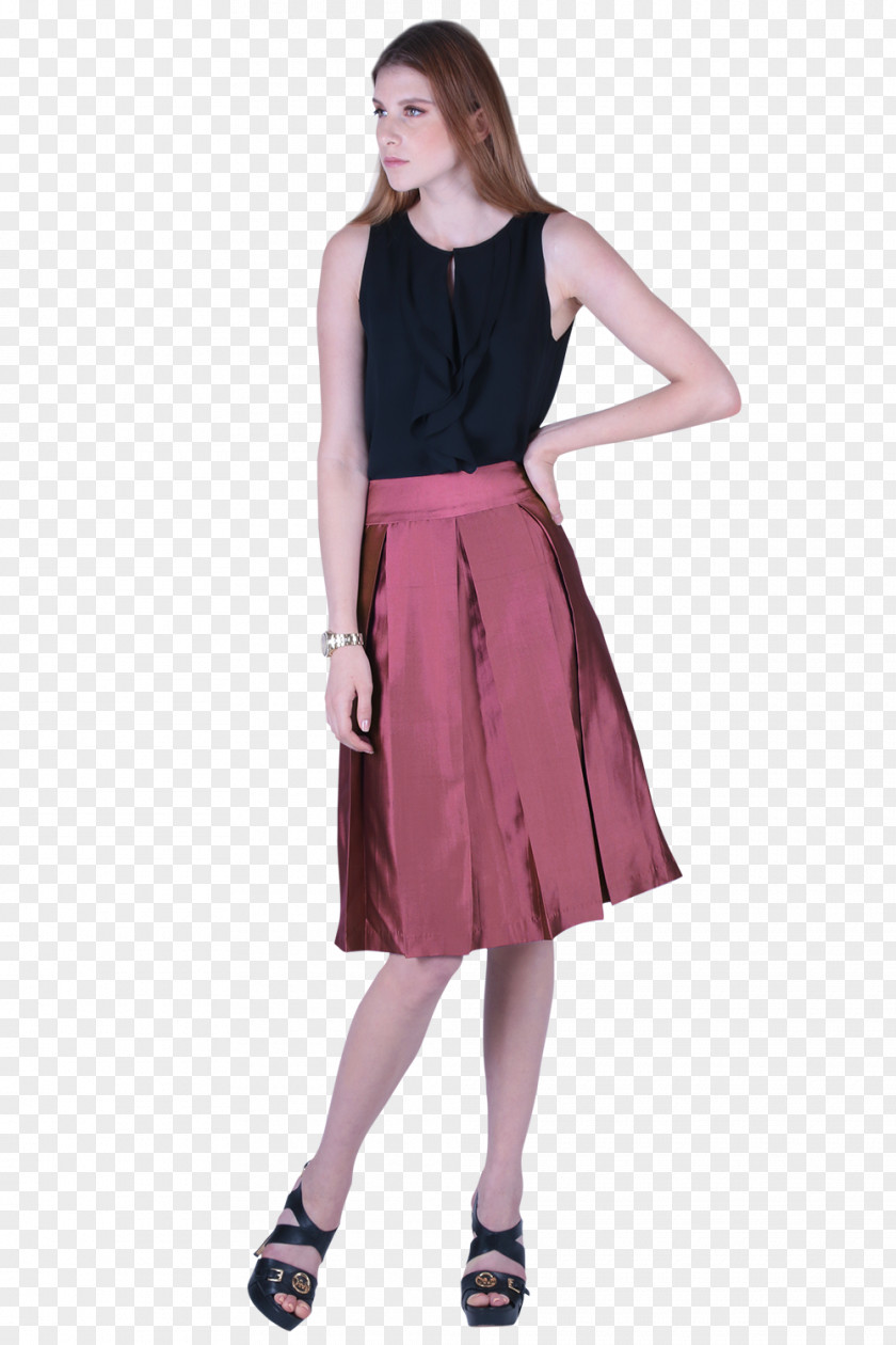 And Pleated Skirt Dress Rose Pleat Silk PNG