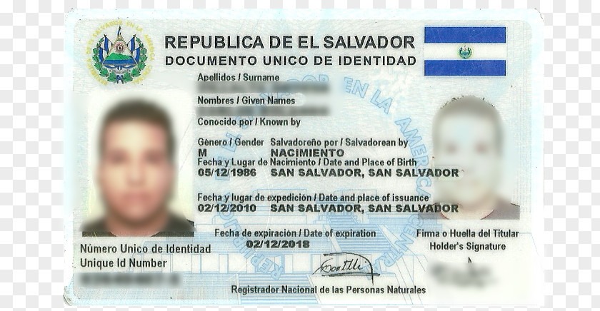 Drunk Driving Identity Document El Salvador Documento Único De Identidad Person PNG