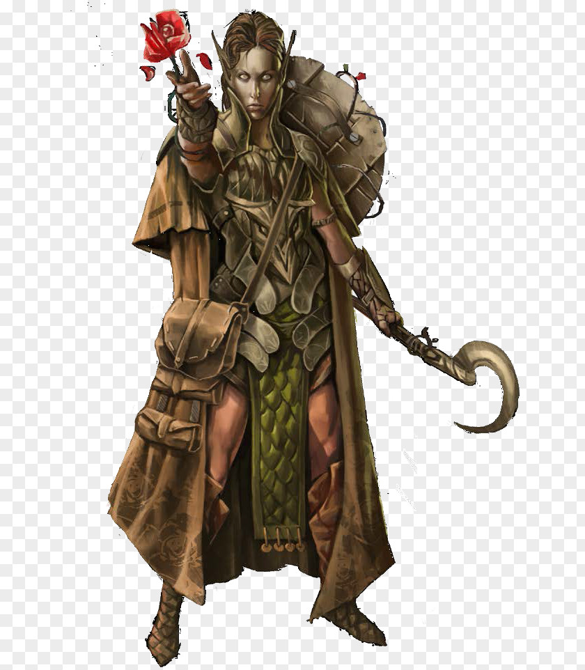 Elf Ranger Druid Pathfinder Roleplaying Game D20 System Dungeons & Dragons PNG
