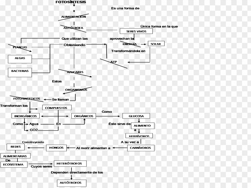 Import Carbon Cycle Concept Map Photosynthesis Autotroph PNG