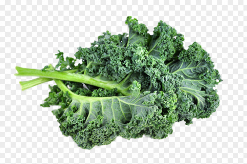 Kale Broccoli Lacinato Brussels Sprout Organic Food Leaf Vegetable PNG