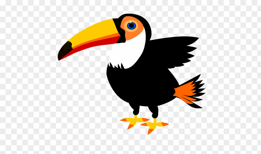 Parrot Toco Toucan Bird Clip Art PNG
