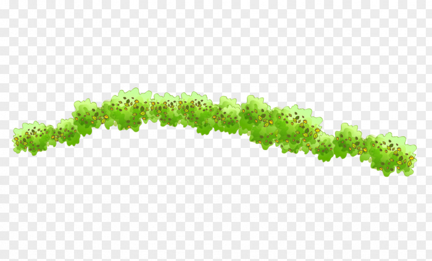 Vine Green Grass PNG