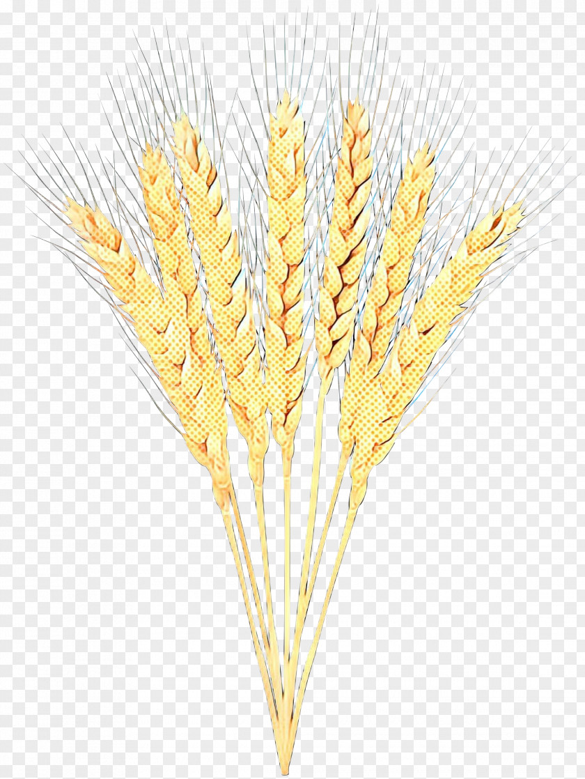 Food Poales Wheat Cartoon PNG