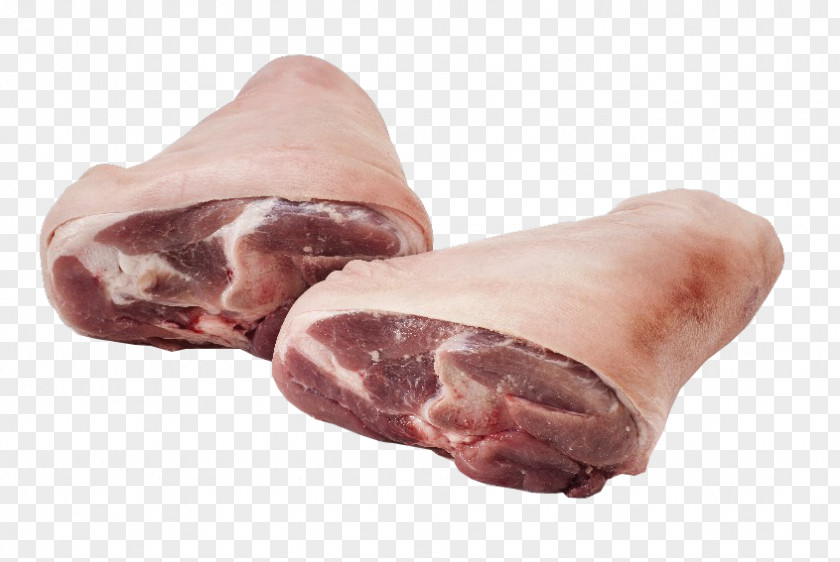 Ham Domestic Pig Hock Eisbein Schweinshaxe PNG