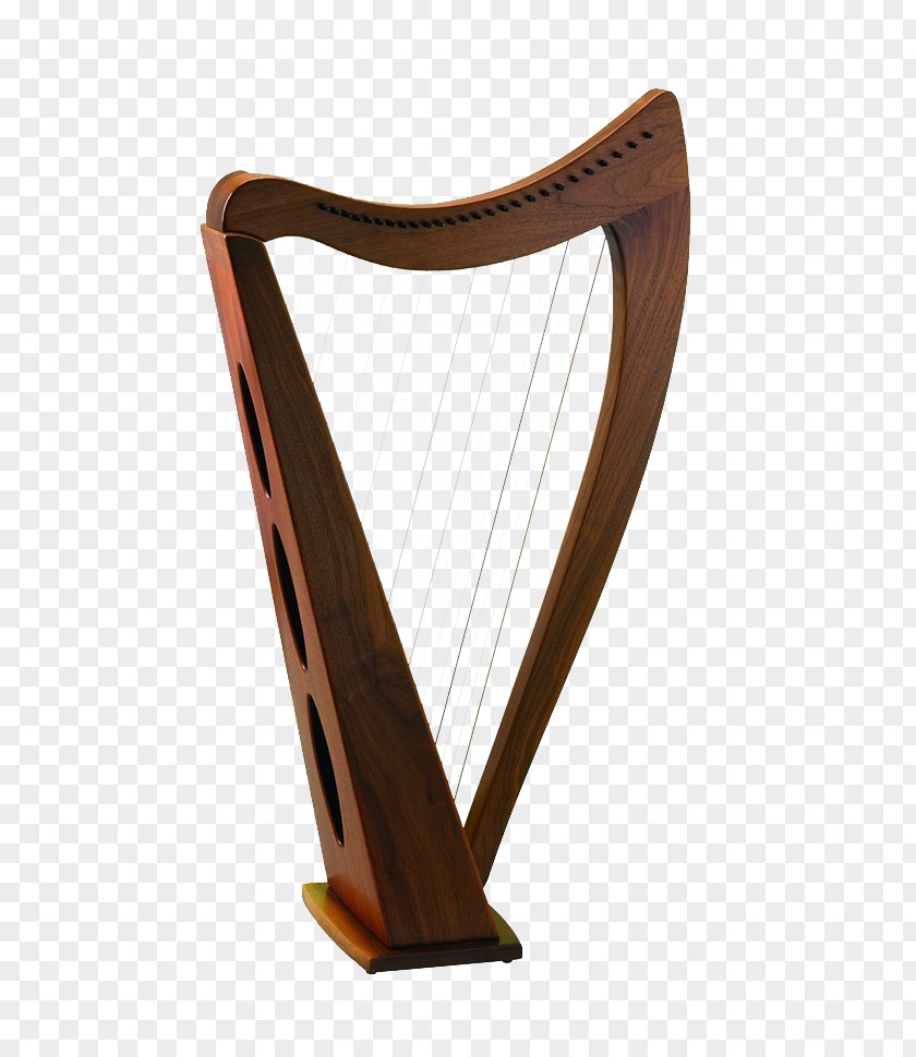 Harp Musical Instrument String PNG