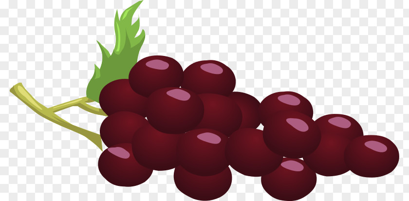 Wine Grapes Common Grape Vine Concord Clip Art PNG