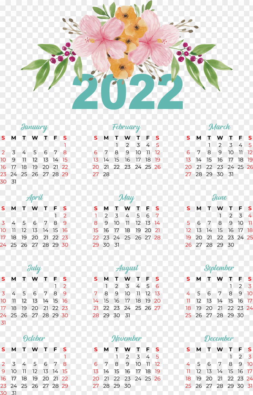 Calendar Font Meter Plant Biology PNG