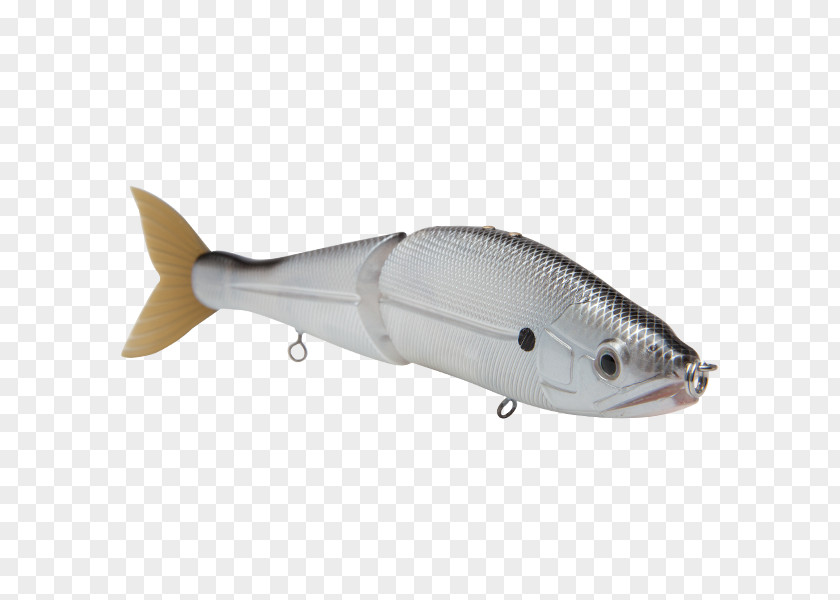 Fish Milkfish Spoon Lure Bonito Silver Shiner PNG