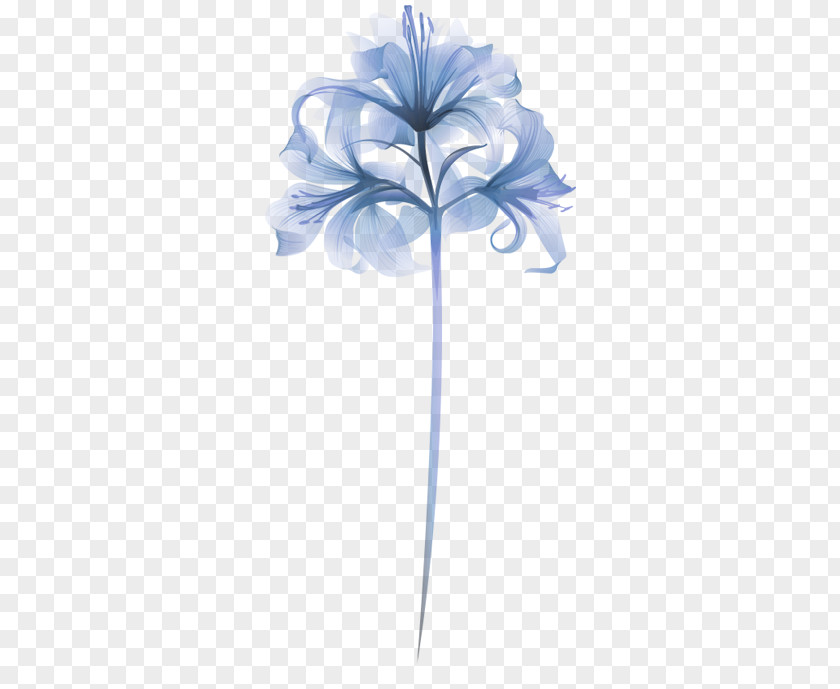 Flower Petal PNG