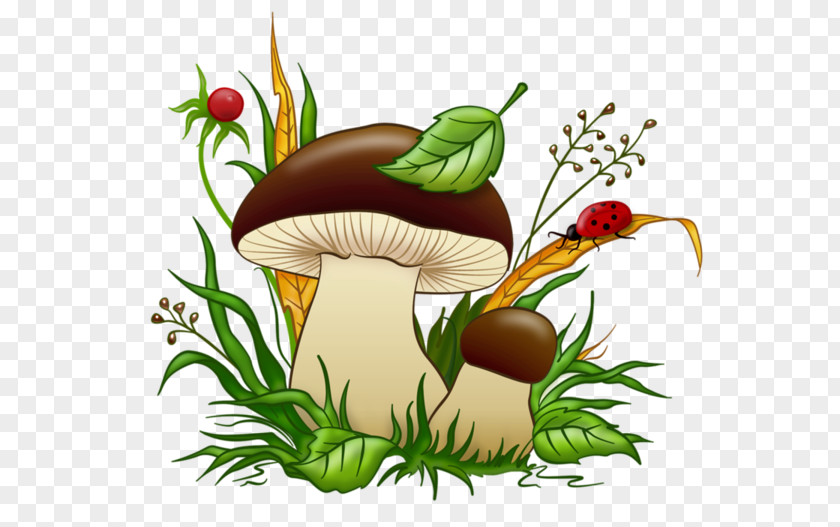 Mushroom Lactarius Deliciosus Boletus Edulis Edible Fungus PNG