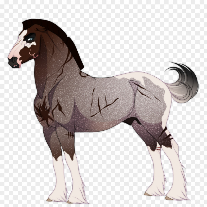 Mustang Mare Foal Mane Pony PNG