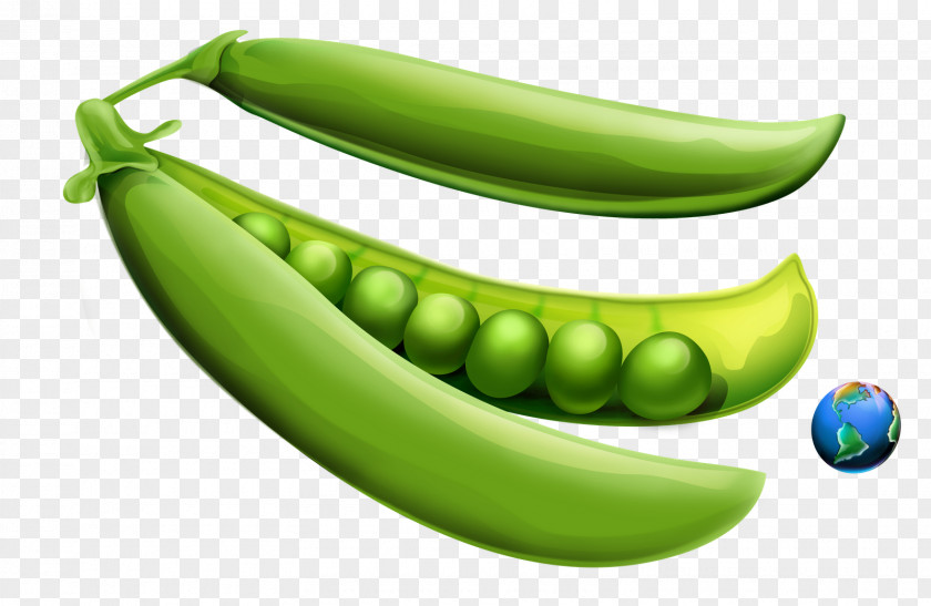 A.d.i.d.a.s Pea Vegetable Legume Food Cooking Banana PNG