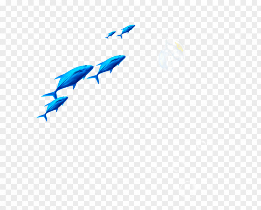 Blue Fish Euclidean Vector PNG