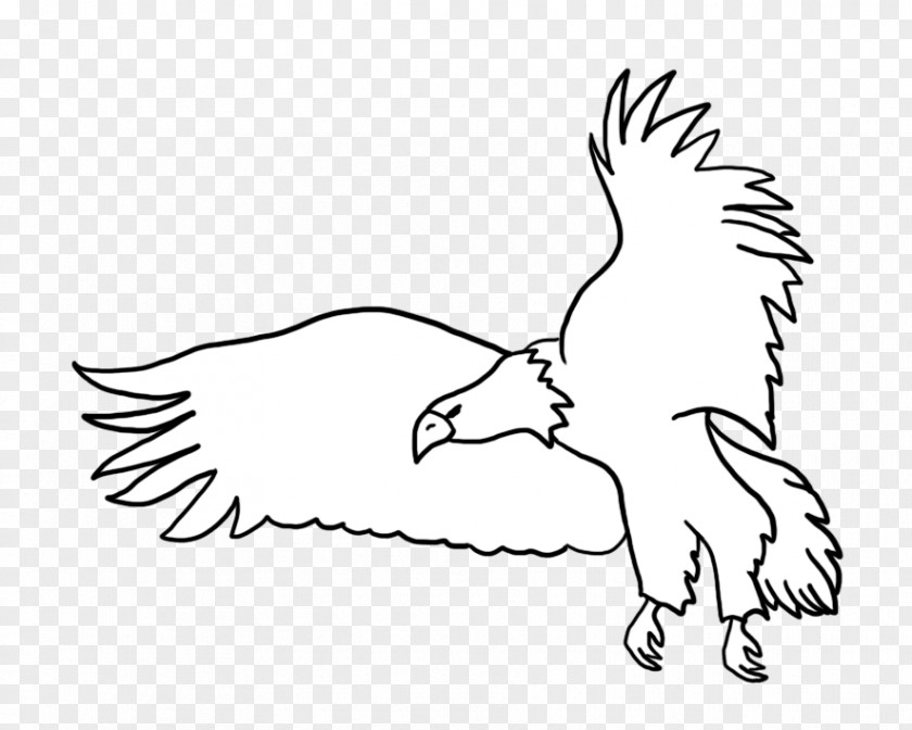 Chicken Drawing Line Art Clip PNG