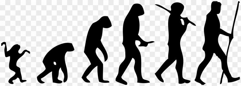 Evolution Neandertal March Of Progress Homo Sapiens Ape Human PNG