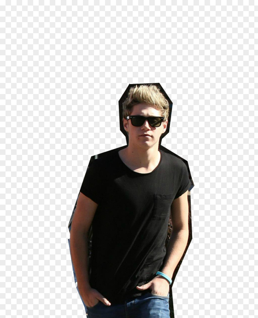One Direction Niall Horan Mullingar PNG