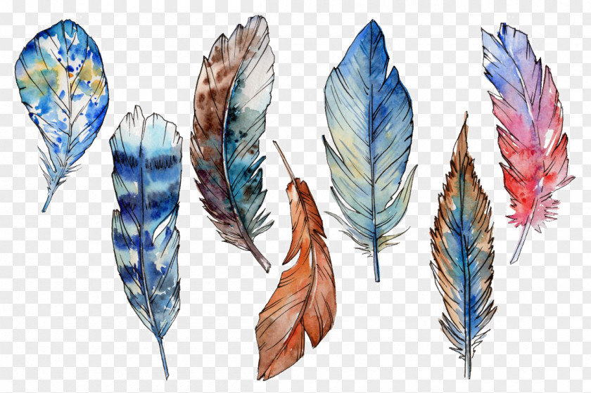 Painting Watercolor Feather Art PNG