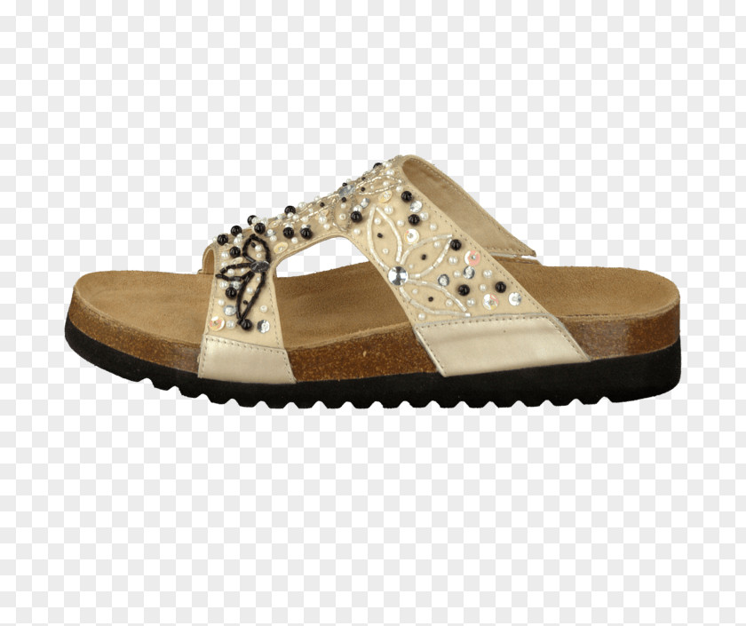 Sandal Slide Shoe Walking PNG