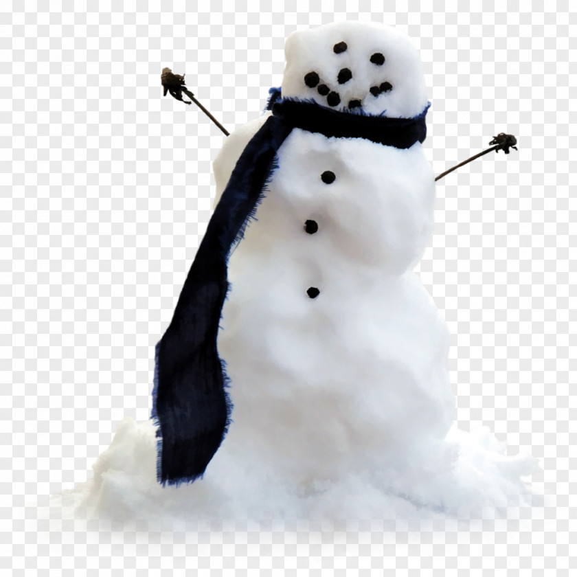 Snowman Photography Christmas PNG