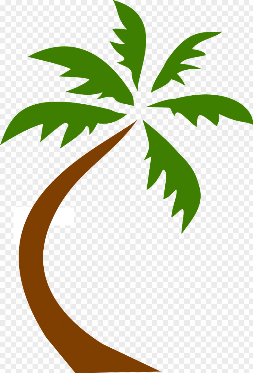 Beach Arecaceae Virginia Clip Art PNG