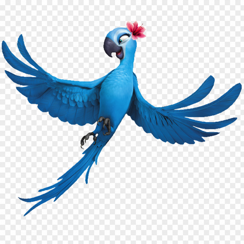 Blu Rio Nigel Clip Art Linda PNG