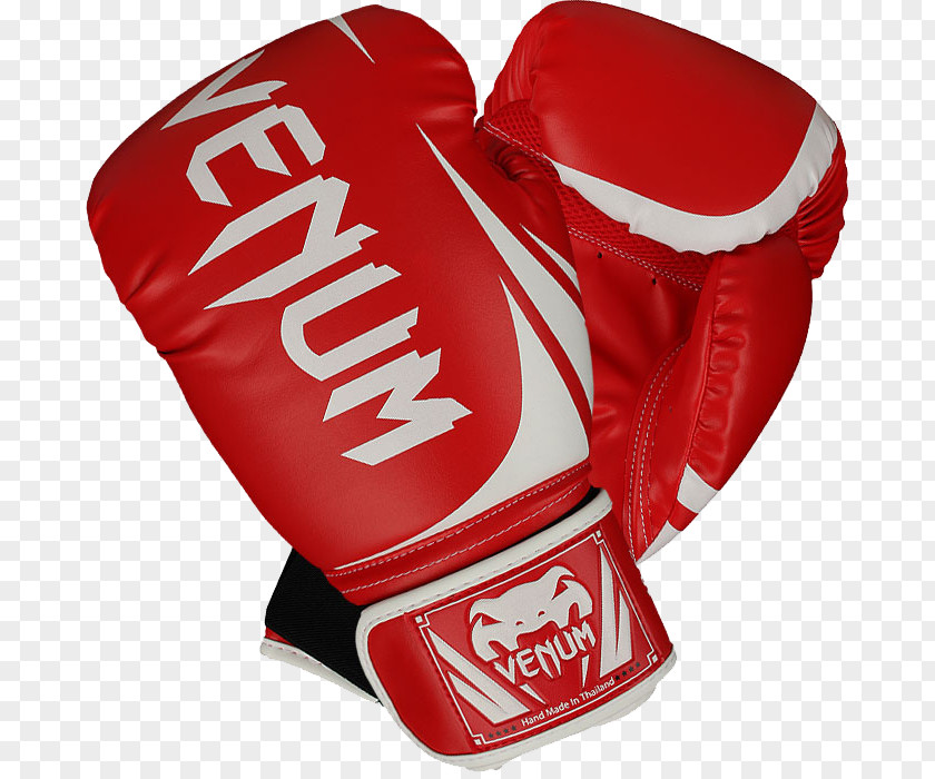 Boxing Glove Product Design Venum Protective Gear In Sports PNG